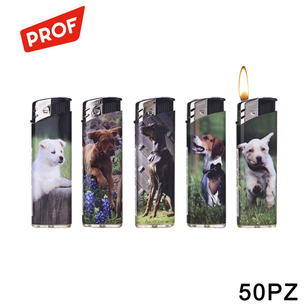 Art.42804467 Prof Accendino Small Dogs Conf.50Pz