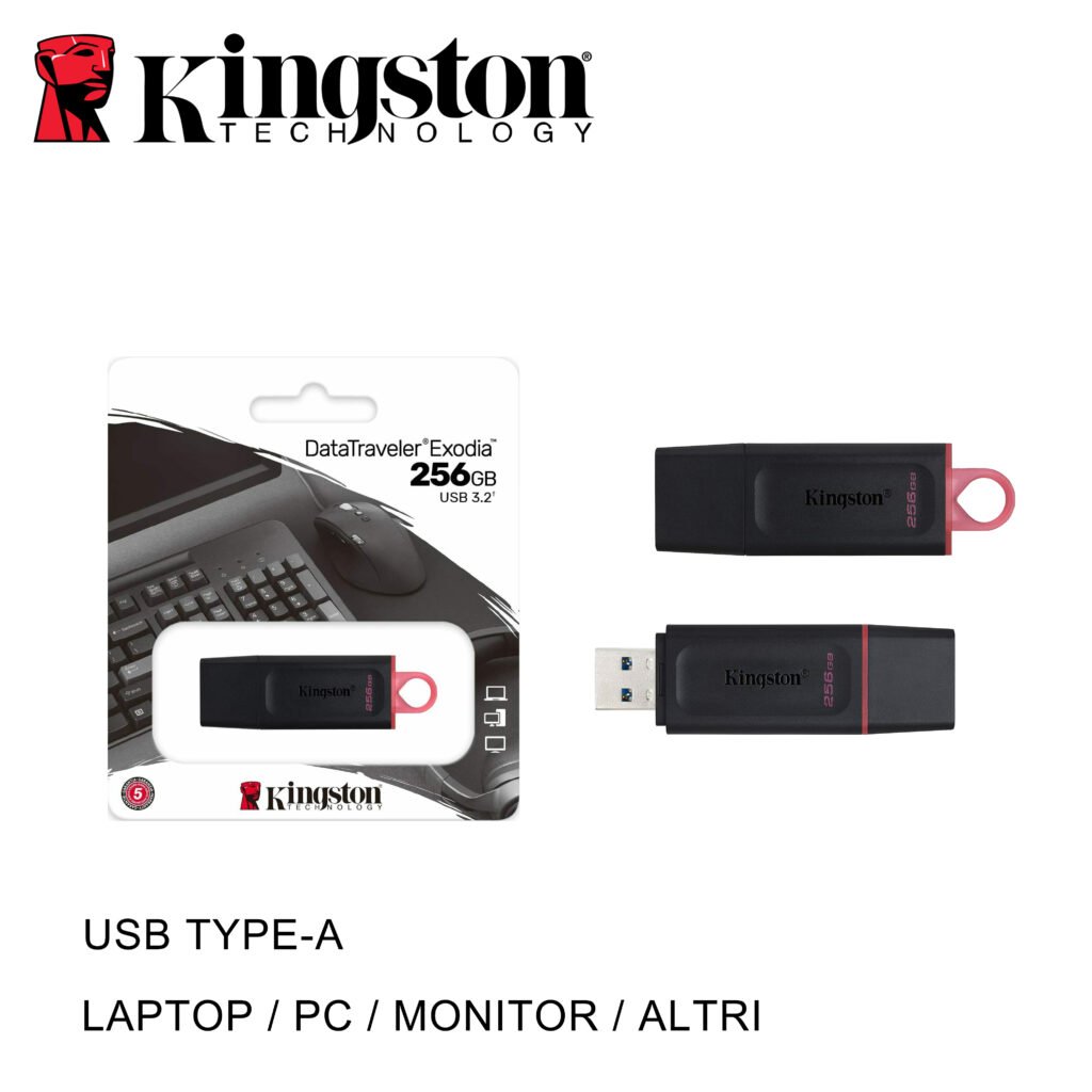 USB 256GB  3.2 DTX KINGSTON BL1