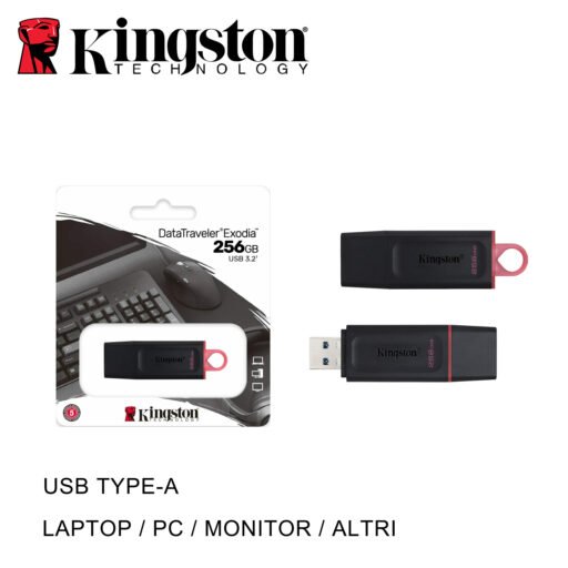 Usb 256Gb 3.2 Dtx Kingston Bl1