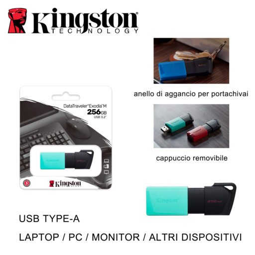 Usb 256Gb 3.2 Dtxm Kingston Bl1