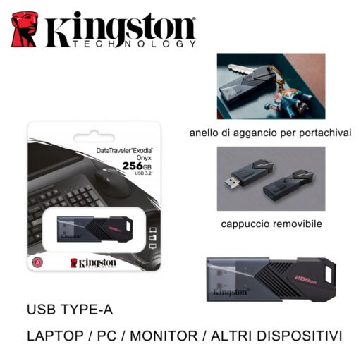 Usb 256Gb 3.2 Dtxon Kingston Bl1