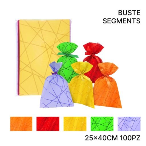BUSTE SACCO 25X40 SEGMENTS ASS. 100PZ