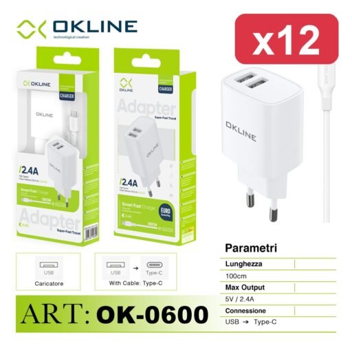 OKLINE CARICATORE 2 USB 2.4A+CAVO TYPE-C